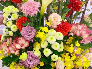 ショールームのお花